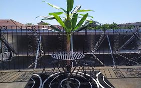 2 Pieces, Terrasse 18 M2, Pres De Strasbourg